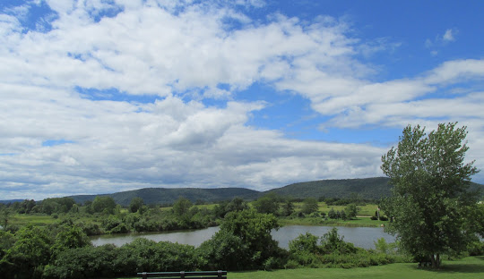 A scenic view of a lush green landscape with a river in the foreground, surrounded by dense vegetation. As if connecting nature's beauty, fiber optic internet lines traverse beneath rolling hills seen in the background, under a partly cloudy blue sky.